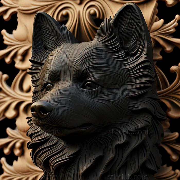 3D model st Schipperke dog (STL)